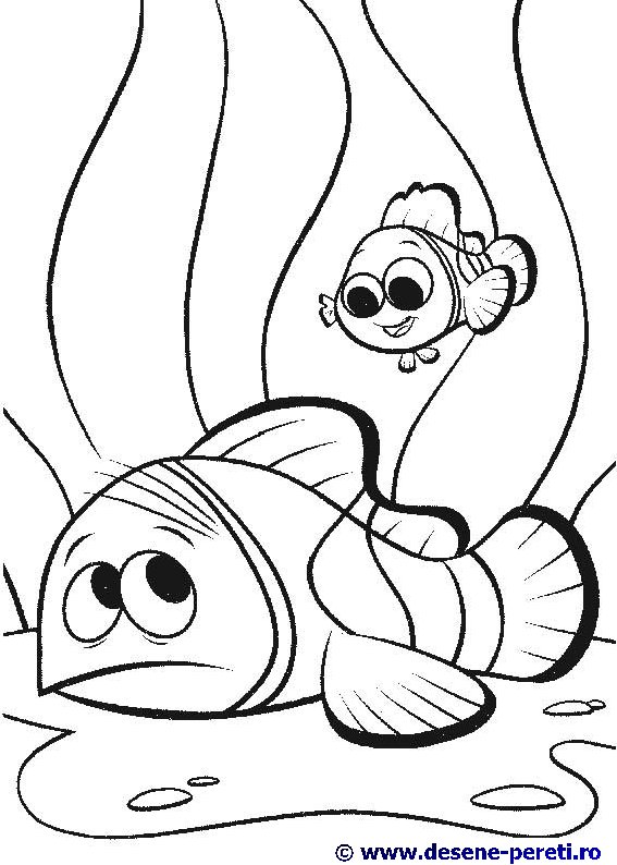 finding nemo desene colorat